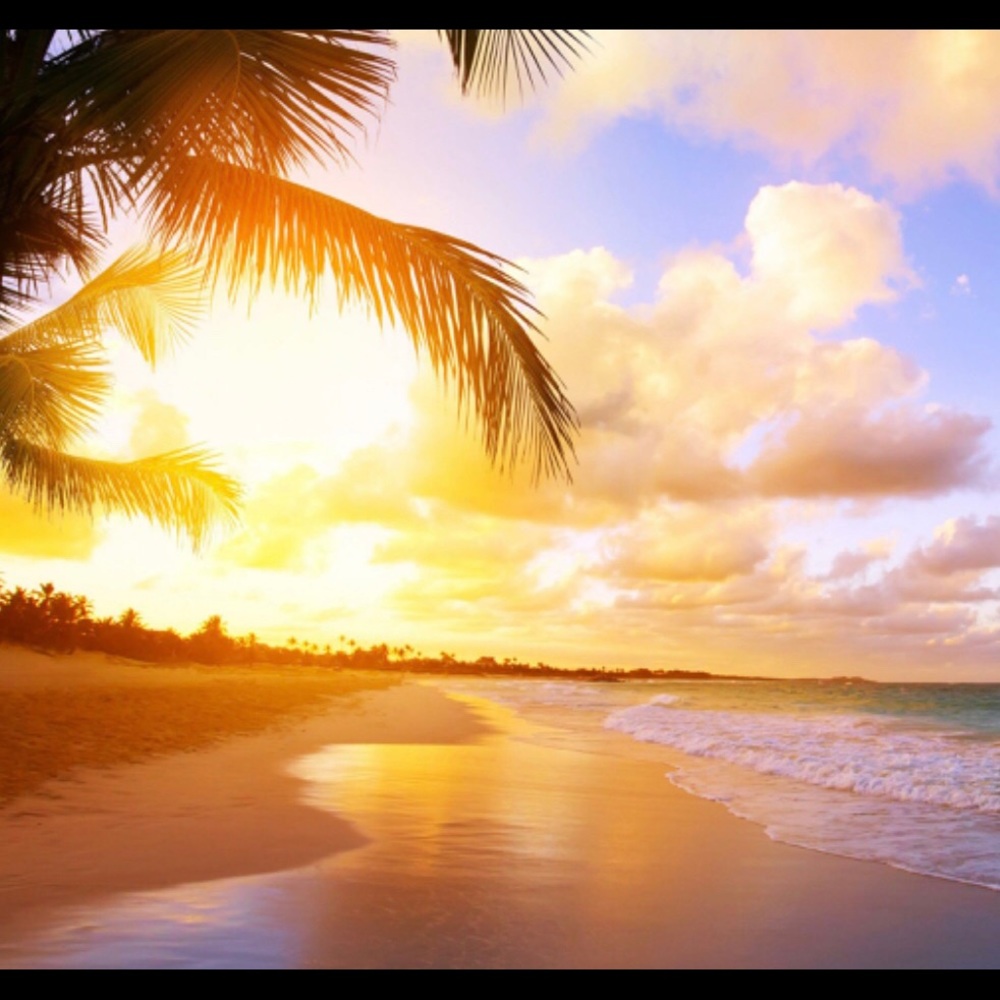 Meet your Posher, Zoe